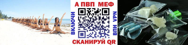 Alfa_PVP СК КРИС Зерноград