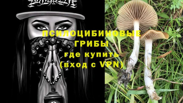 PSILOCYBIN Волоколамск