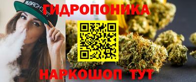 гашик Гусев