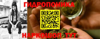 прущие грибы Гусь-Хрустальный