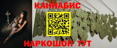 гашик Гусев