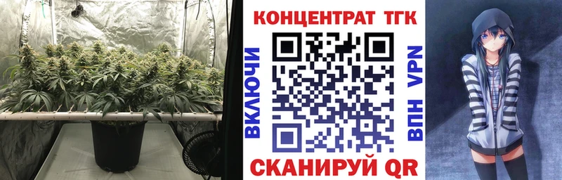 KRAKEN   купить  цена  Зерноград  ТГК гашишное масло 