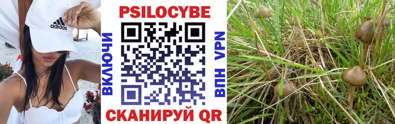 Псилоцибиновые грибы прущие грибы  Зерноград 