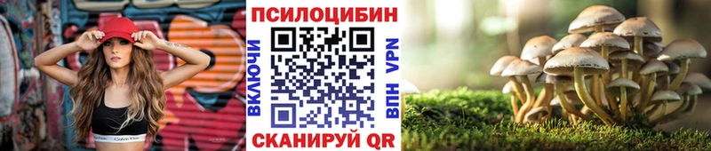 Псилоцибиновые грибы GOLDEN TEACHER Зерноград