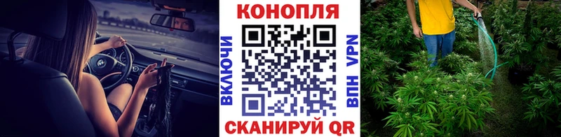 Бошки марихуана конопля  omg рабочий сайт  Зерноград  цены  